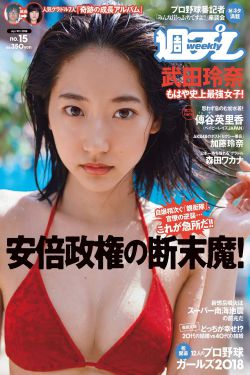 愤怒管理第一季